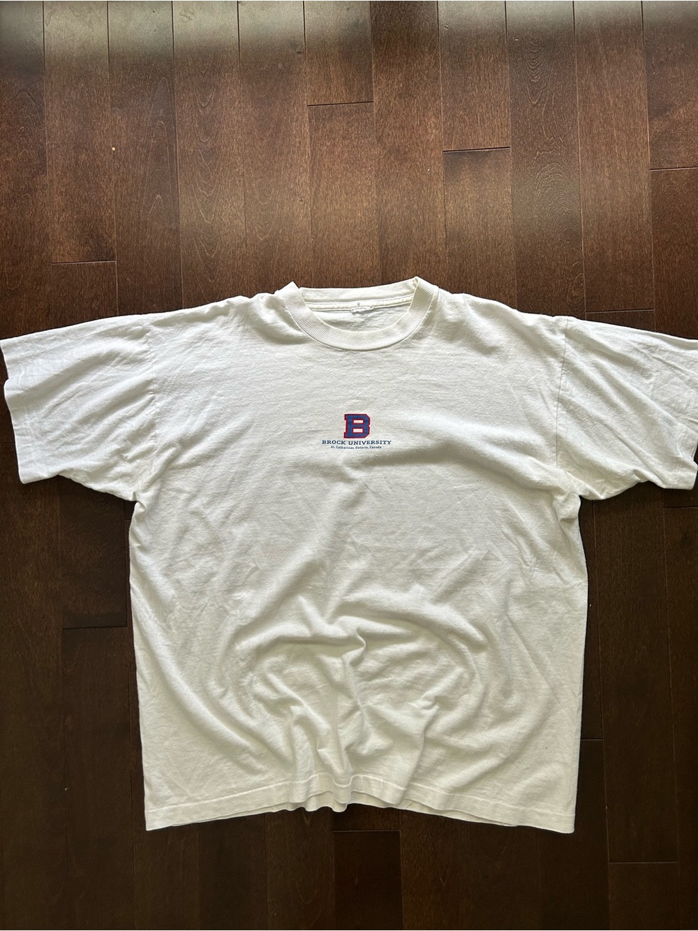 Vintage 90’s Brock University Graphic T Shirt